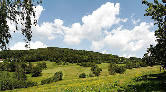 Bayerischer Wald